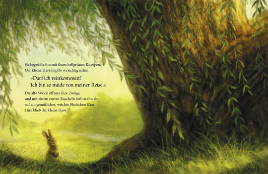 Buch 'Der kleine Hase und die alte Weide'