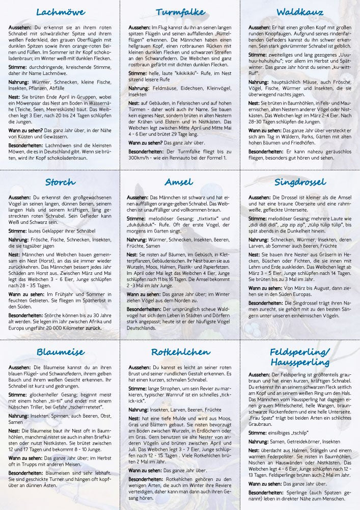 18 Vogelbestimmungskarten