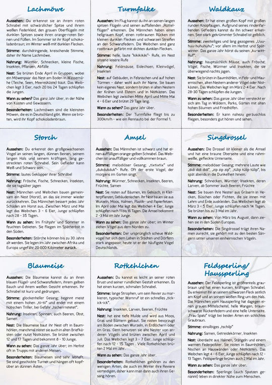 18 Vogelbestimmungskarten