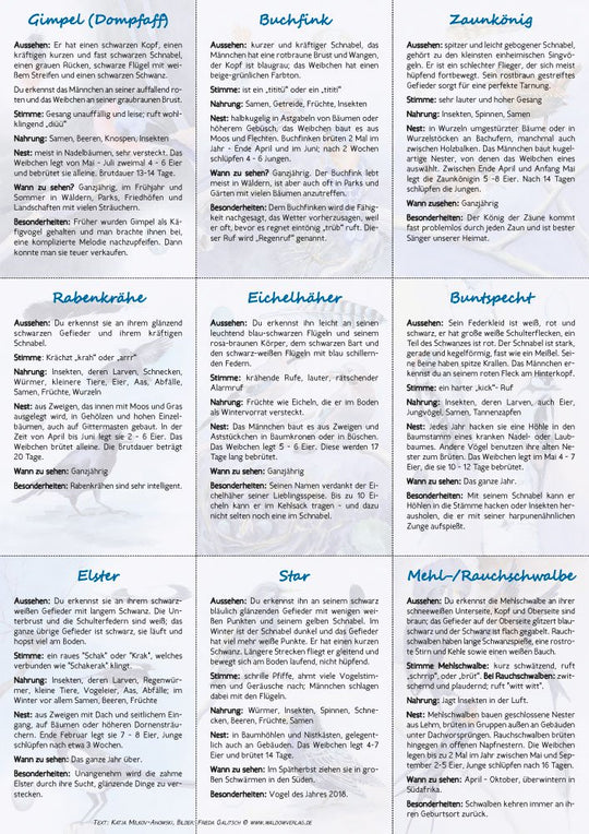 18 Vogelbestimmungskarten