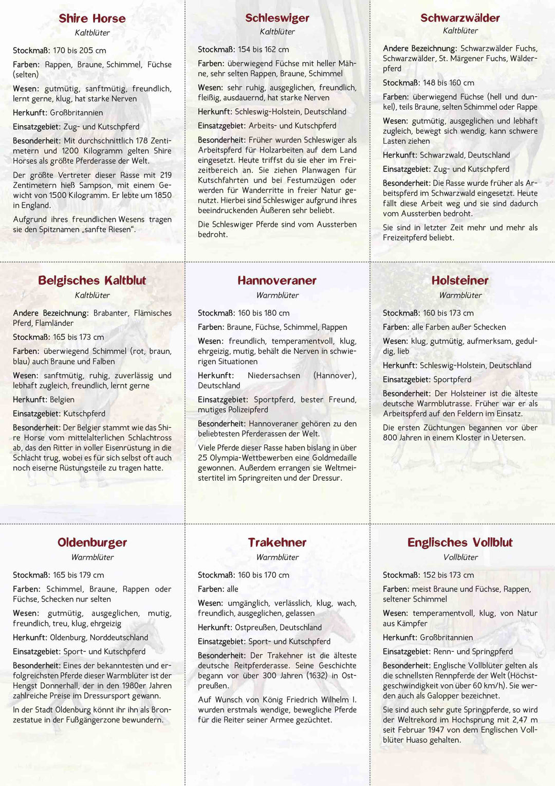 18 Pferdebestimmungskarten