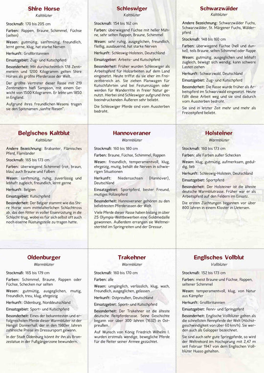 18 Pferdebestimmungskarten
