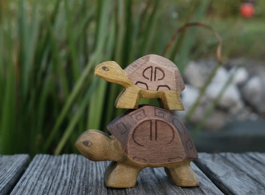 Holzwald Schildkröte