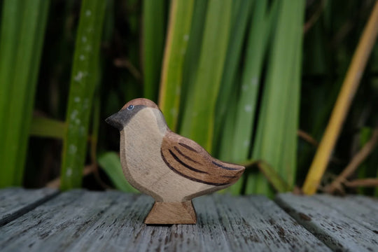 Holzwald Spatz